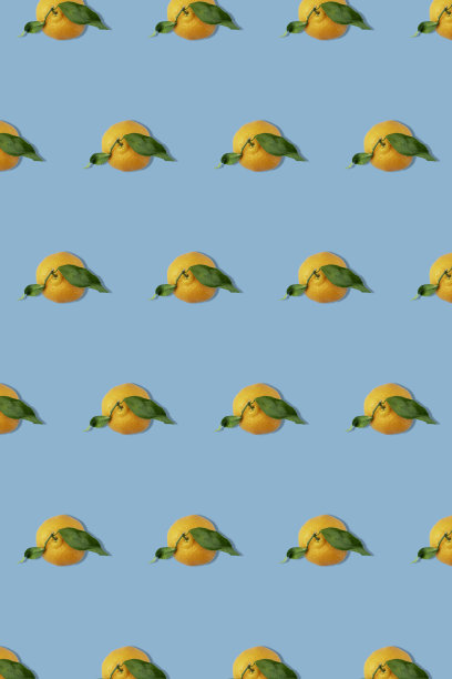 蓝色背景橘子的创意照片:图片下载