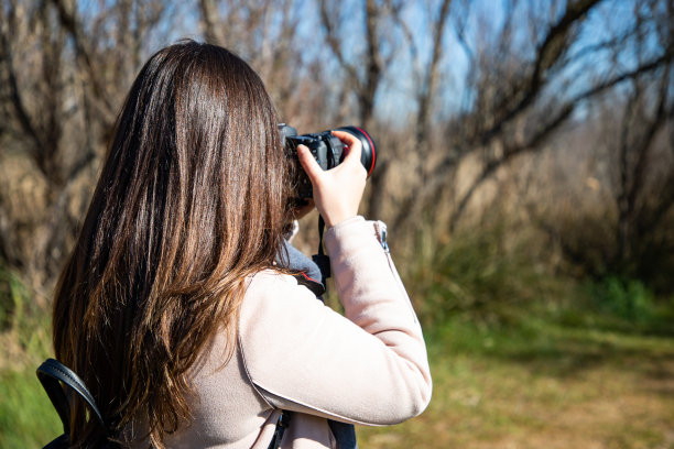 美丽的女人正在拍摄一片干燥的森林图片下载