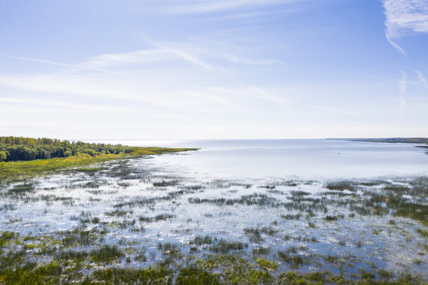 圣劳伦斯河沿岸的沼泽景色。图片下载