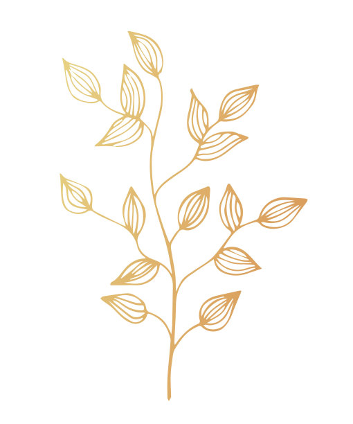 一朵花，一枝金叶图片下载