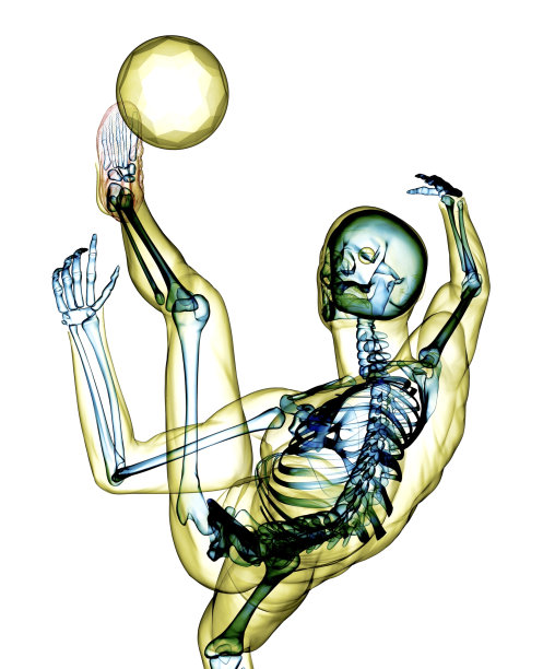 头顶踢射的x光图像图片下载