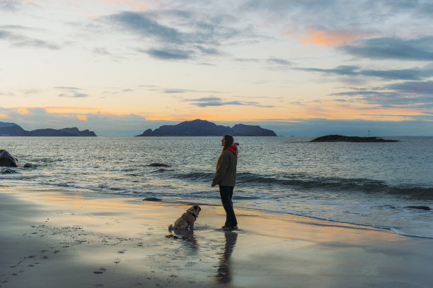 在挪威的海边，一位女士带着一只狗凝视着美丽的日落图片下载