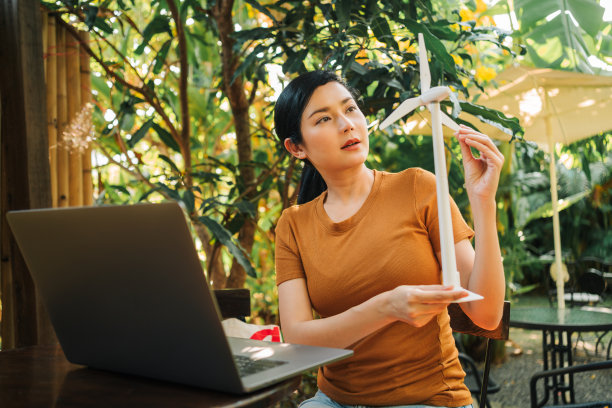 妇女计划使风车农场项目与商业公司图片下载