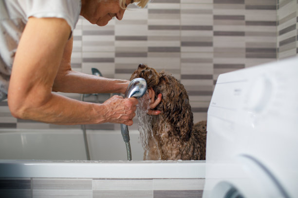一位老妇人正在给她的狗洗澡图片下载