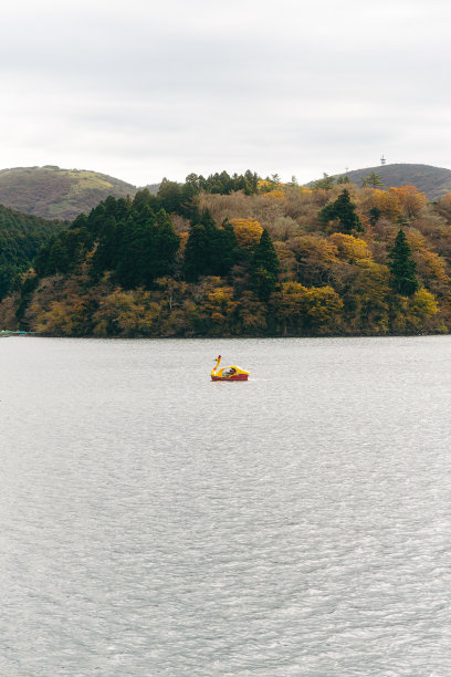 放松鹅船在阿什湖图片下载