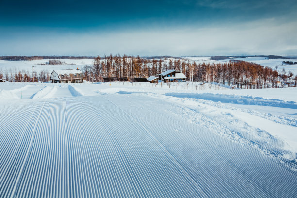 河北的雪山和白桦树图片下载