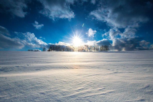 落叶松林在雪山上，碧蓝的天空在比北图片下载