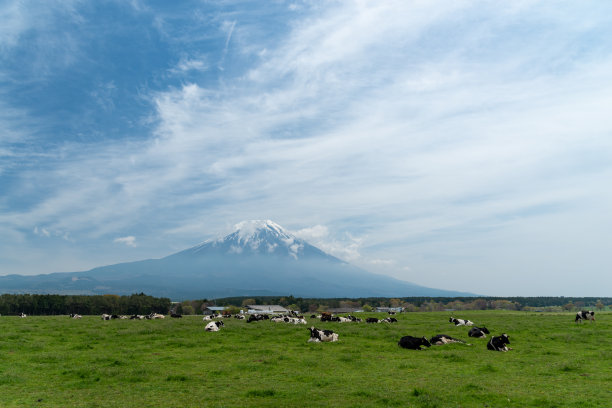 富士山和农场图片下载