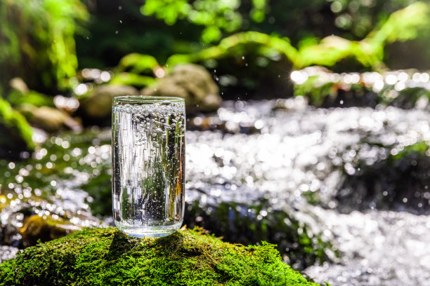 在热带雨林的岩石上，纯净水装在饮水杯中图片下载