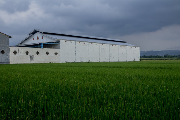 在稻田中间的工厂图片下载