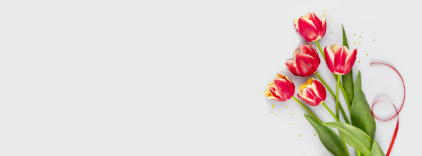 假日横幅与郁金香在蓝色的背景与复制空间图片下载