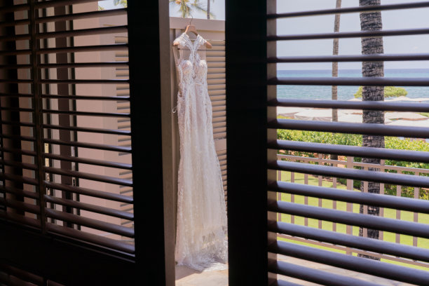 婚礼礼服挂在衣柜的衣架上。图片下载