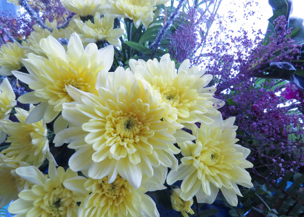 美丽的艺术花温柔的花束玫瑰，菊花，图片下载