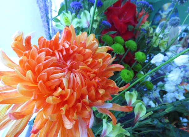 美丽的艺术花温柔的花束玫瑰，菊花，图片下载