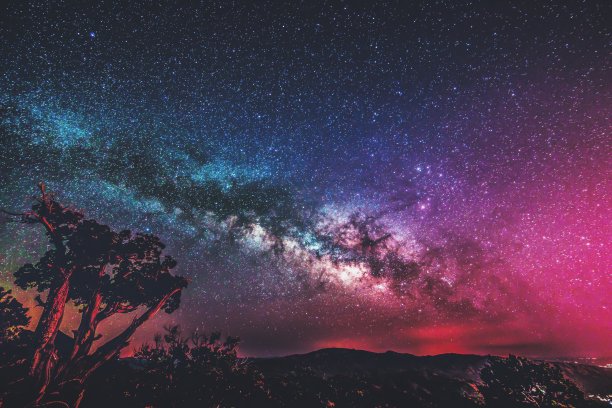 美丽的星空与银河在岩石景观和树木与植物图片下载