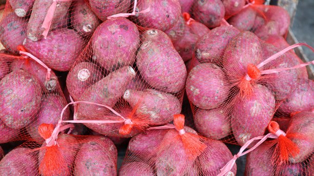 红红的土豆在袋子里。图片下载