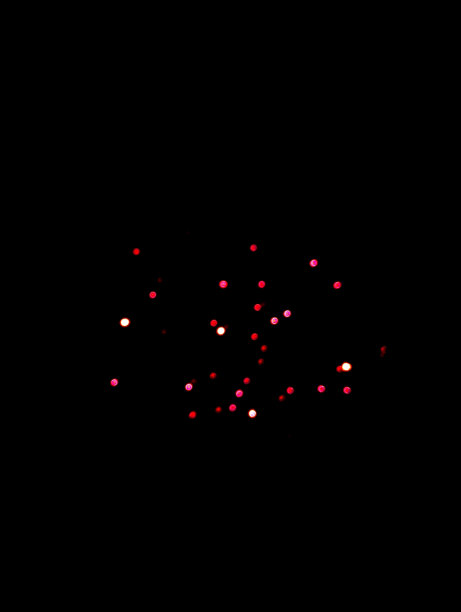 夜晚的红光图片下载