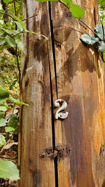木头上的2号图片下载