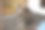 一只漂亮的猫正坐在阳台上一扇敞开的门旁图片下载