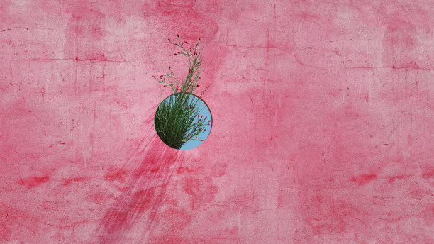 2023年的颜色墙，圆窗和植物。3d插图，3d渲染。图片下载