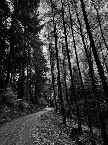 梦幻岛图片下载