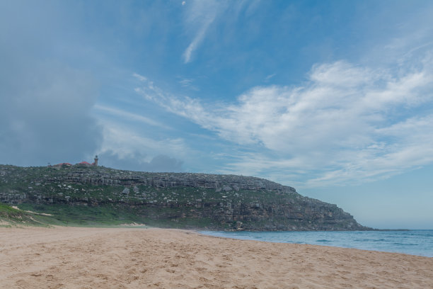 棕榈滩图片下载