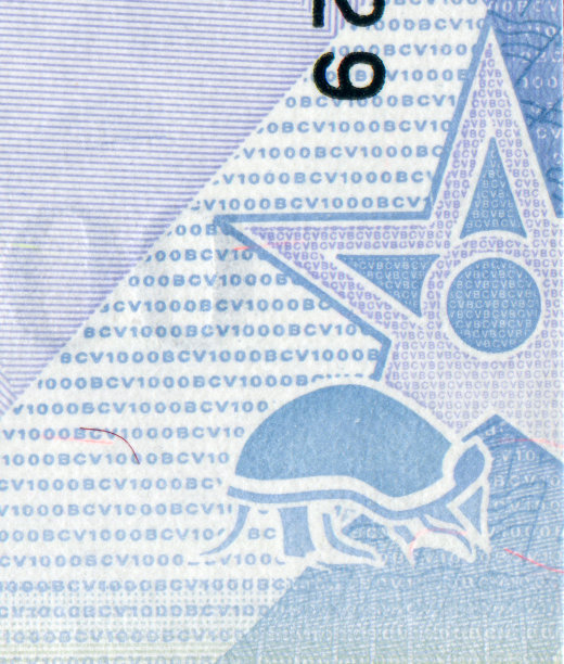 委内瑞拉玻利瓦尔货币上犰狳剪影图案设计图片下载