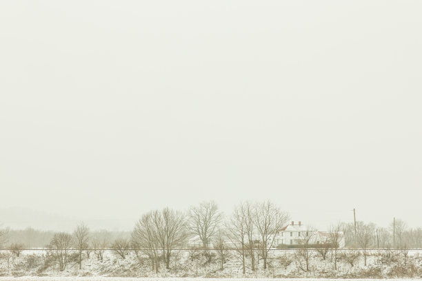 2022年12月，俄亥俄州奇利科特的雪天里，奇形怪状的雪树图片下载
