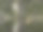 晨光映在河流和橙色岩石上图片下载