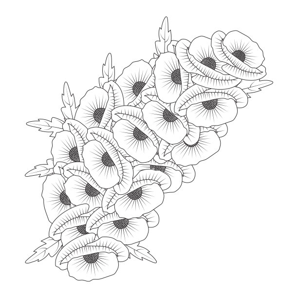 罂粟花插画开花花着色书页线艺术设计矢量平面设计图片下载