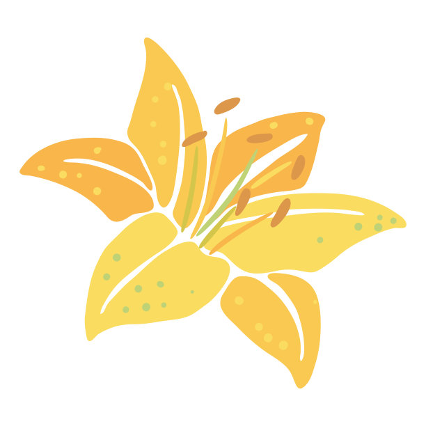 百合花的美丽装饰性图片下载