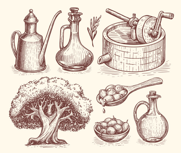 橄榄油生产概念。健康有机天然农场食品。手绘矢量素描在复古雕刻风格图片下载