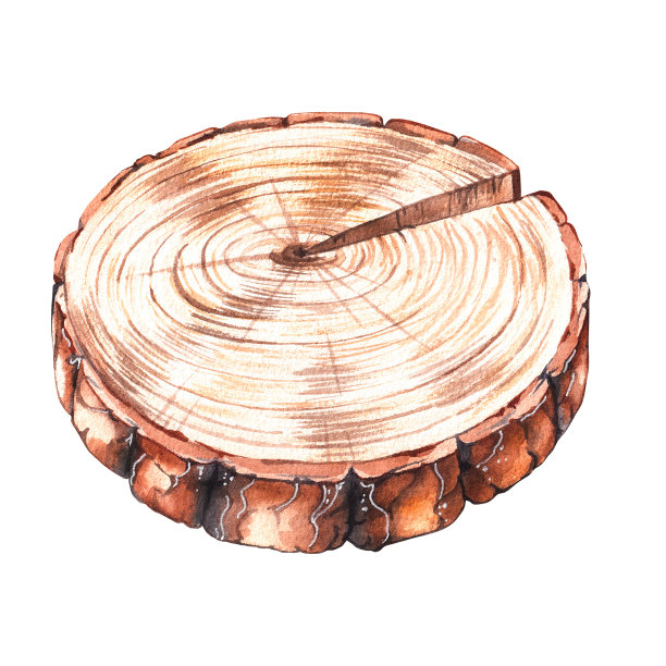 水彩树锯在白色背景上切割图片下载