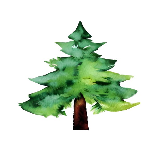 水彩圣诞树孤立，冷杉树标志图片下载