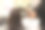 男理发师正在给女人熨头发图片下载
