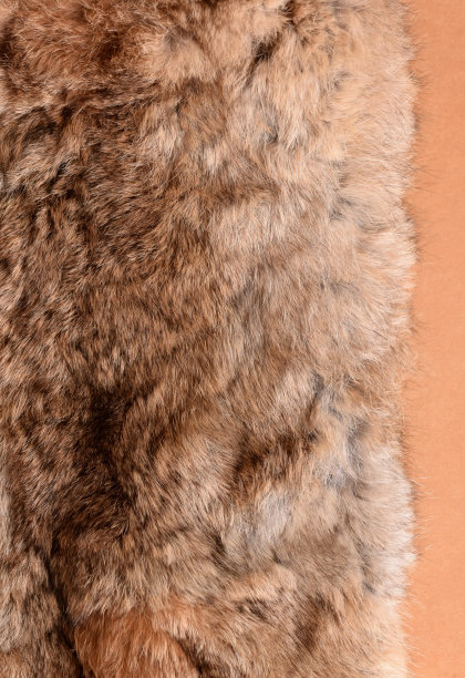 皮大衣放在桌子上。图片下载