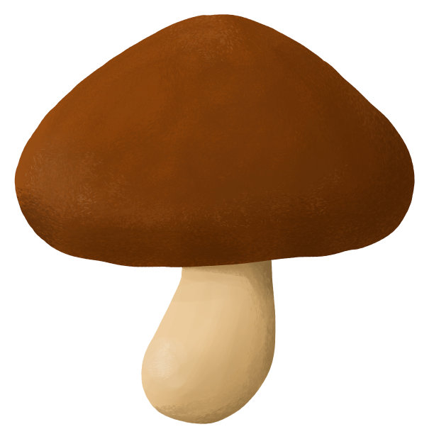 蘑菇，香菇，香菇，秋食材，插图，资料图片下载