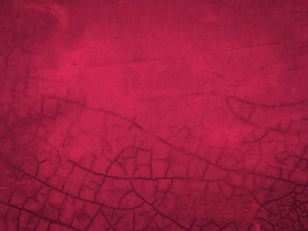 背景和纹理与viva洋红色图片下载