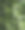 深绿色热带树叶的绿色森林。图片下载