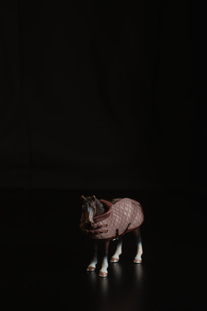 黑色玩具马孤立的黑色背景图片下载