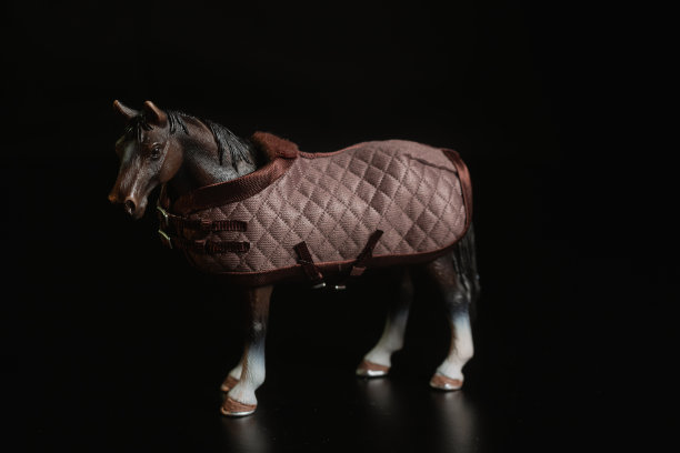 黑色玩具马孤立的黑色背景图片下载