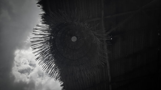 古布格图片下载