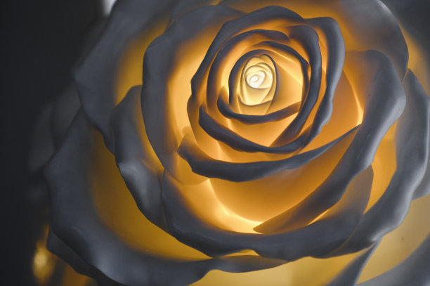 白色的纸花装饰背景。图片下载