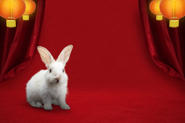 春节快乐。中国兔年图片下载