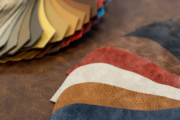 numune deri örnekleri图片下载