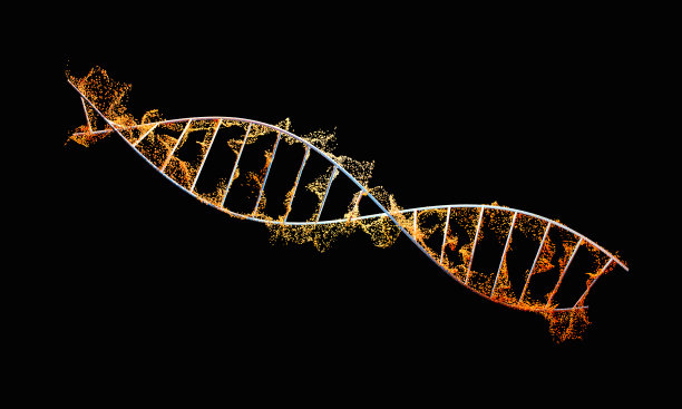 DNA或RNA的螺旋结构与粒子。图片下载