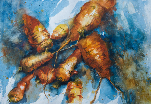 生胡萝卜蔬菜水彩书插图手绘绘画绘画新鲜食品食谱，菜单，杂志或期刊文章秋天蓝色的背景。图片下载