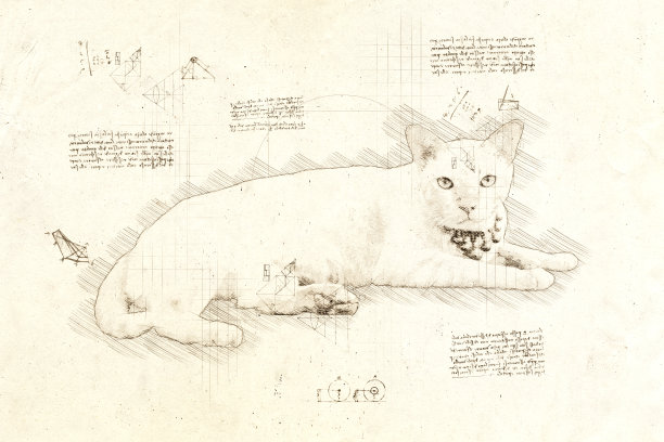 达·芬奇风格的躺猫素描。图片下载