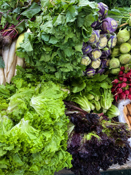 市场上新鲜农产品的全帧图像，红色和绿色的珊瑚生菜，萝卜，白萝卜/毛栗，甜菜根，绿色和紫色的苤蓝菜，高架视图，重点在前景图片下载
