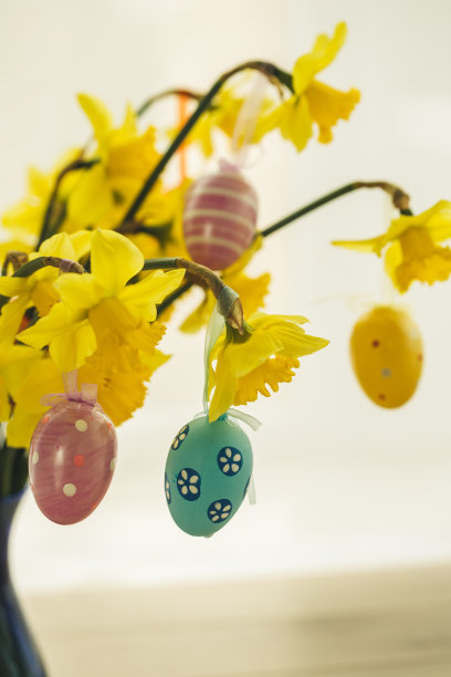 复活节装饰的绝佳选择图片下载